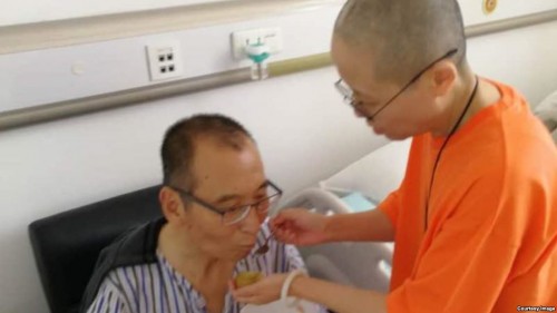 刘霞在医院病房陪护患肝癌晚期的刘晓波。（网络图片）